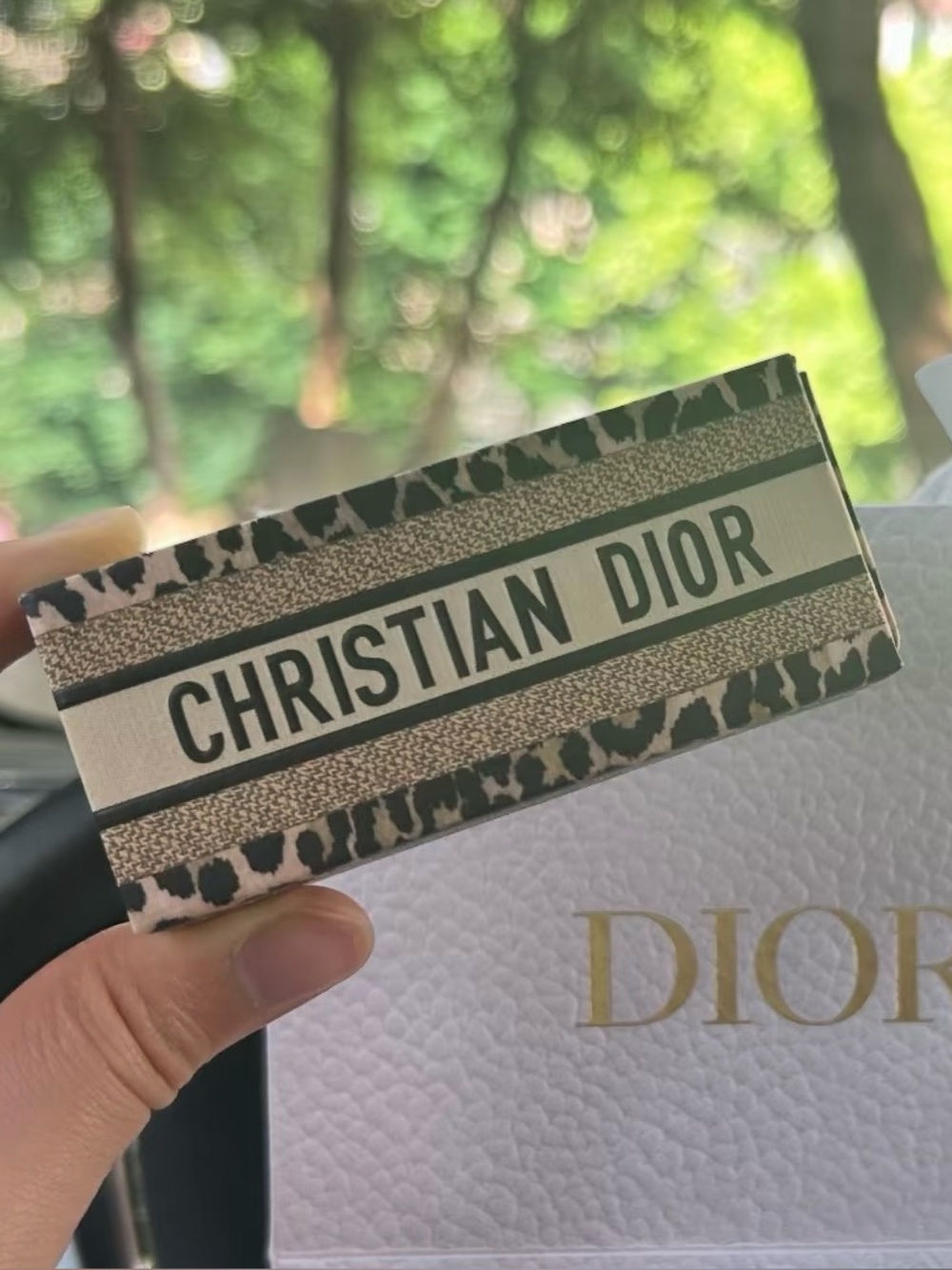 Dior Leopard Lipstick case